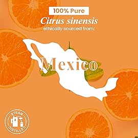 Handcraft Blends Organic Orange Essential Oil - 1 Fl Oz - 100% Pure and Natural - Premium Grade Essential Oil for Diffuser and Aromatherapy