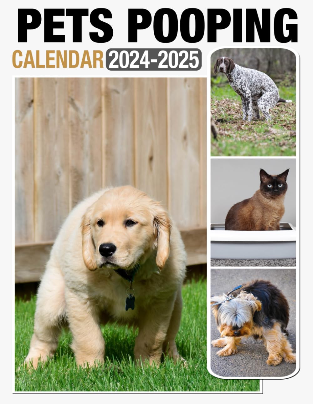 Pets Pooping Calendar 2024 2025 Monthly Planner Jan 2024 to Dec 2025