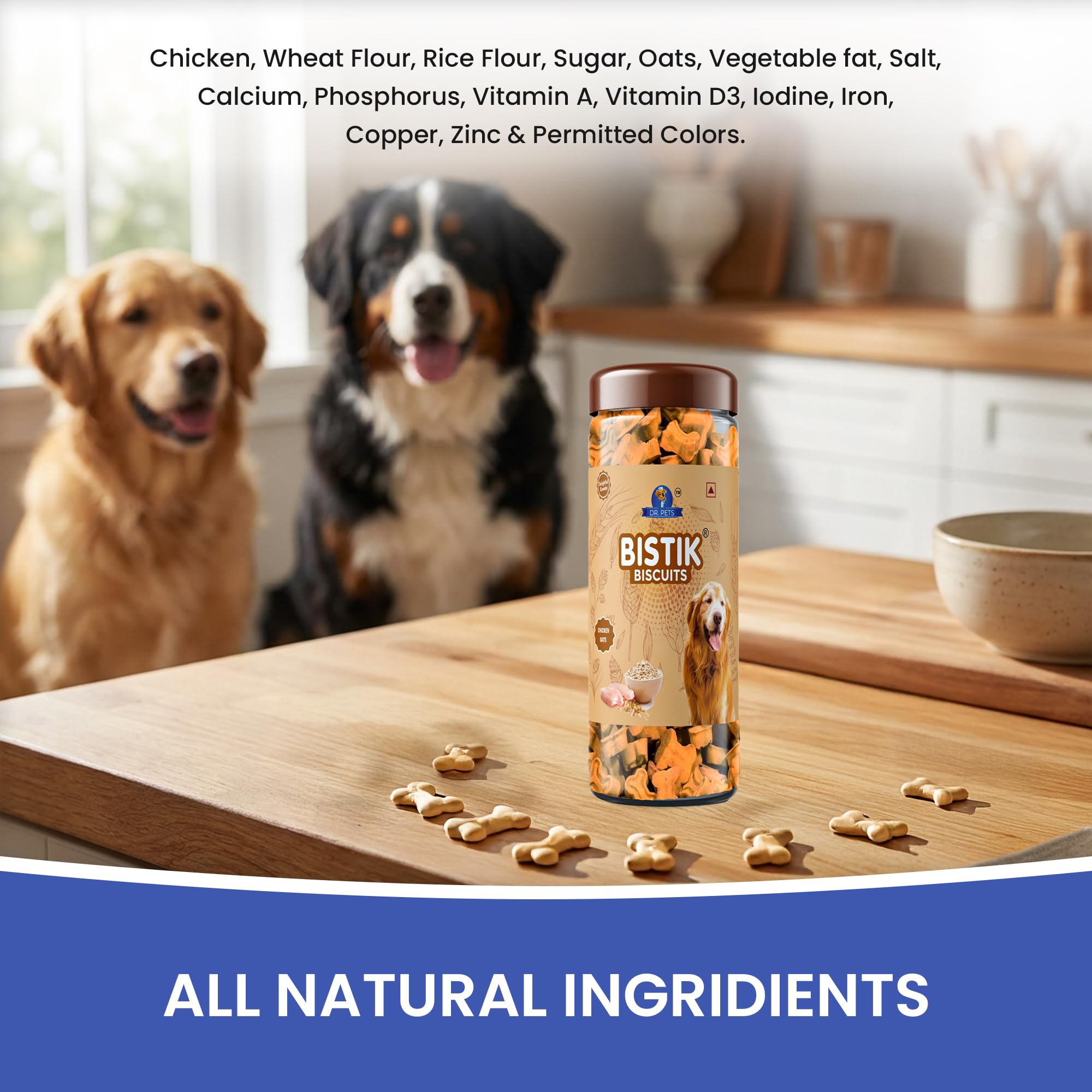 Dr. Pets Pack of 2 (450g Each) Bistik Dog Biscuits Chicken Oats Flavor | Gluten Free Dog Treats | Crunchy Daily Snacks | Supports Digestion & Bone Health | Natural Ingredients for Puppies & Adult Dogs