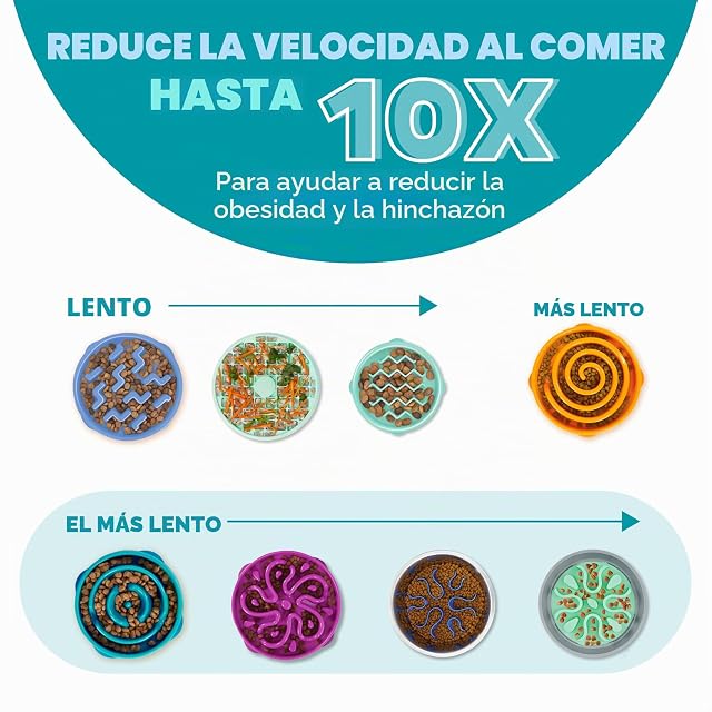 Foto 4 de 7 de Outward Hound Fun Feeder Slo-Bowl - Comedero con obstáculos para perros - Turquesa - Mediano/mini