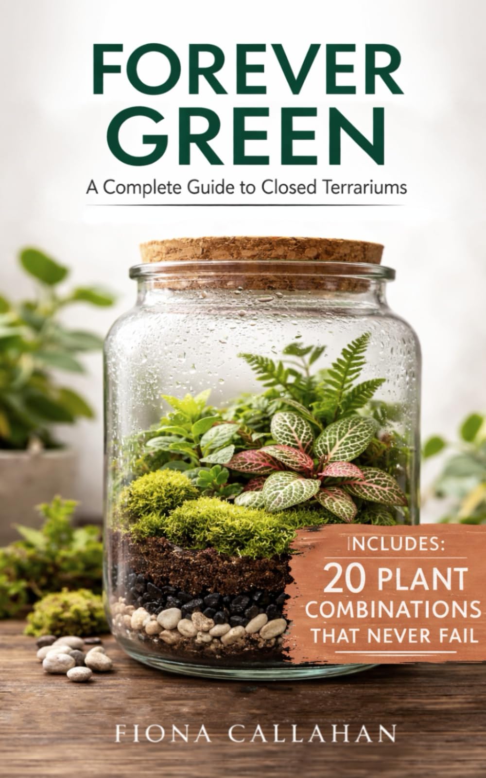 Forever Green: A Complete Guide to Closed Terrariums