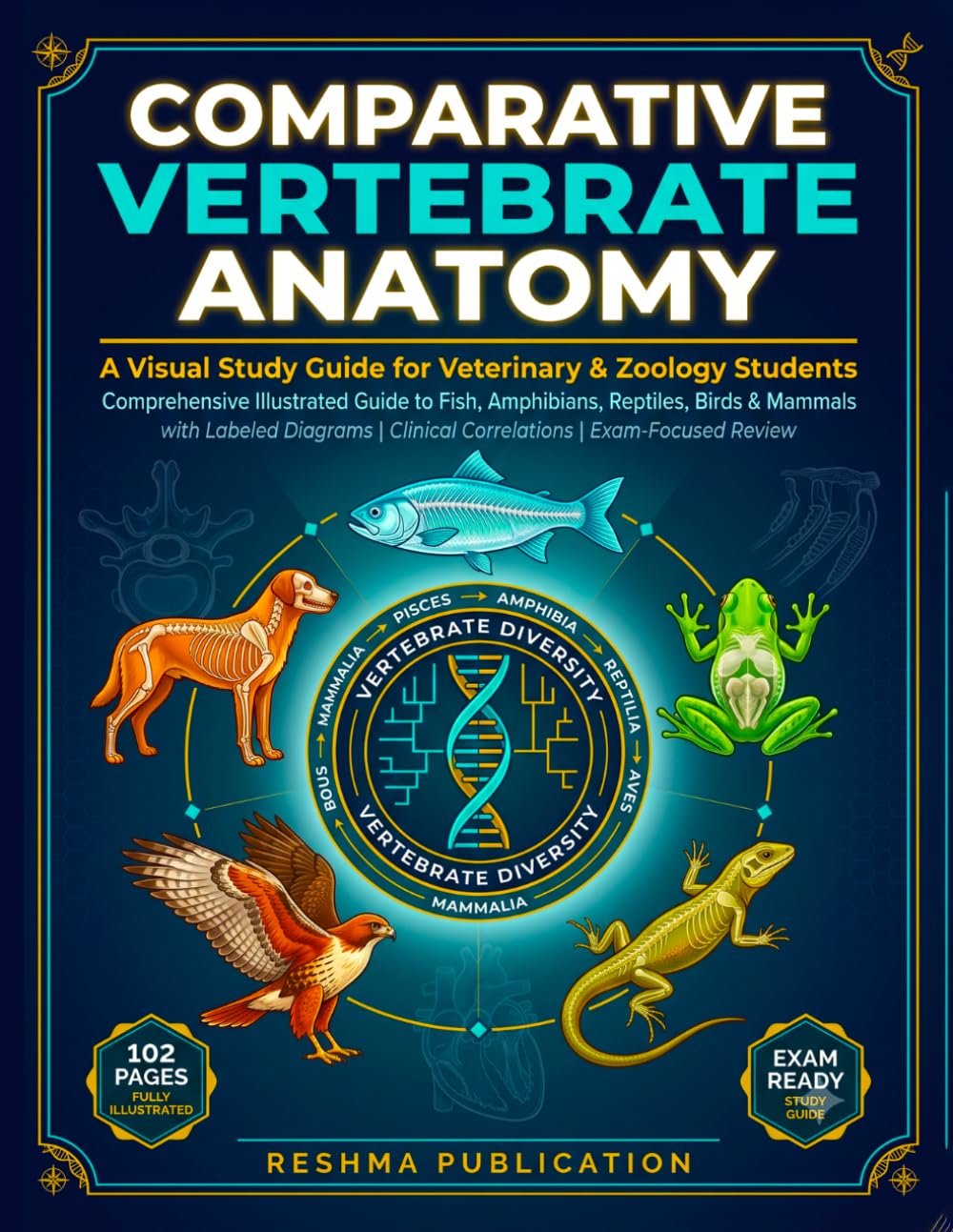 Comparative Vertebrate Anatomy A Visual Study Guide for Veterinary & Zoology Students: Comprehensive Illustrated Guide to Fish, Amphibians, Reptiles, ... with Labeled Diagrams, Clinical Correla