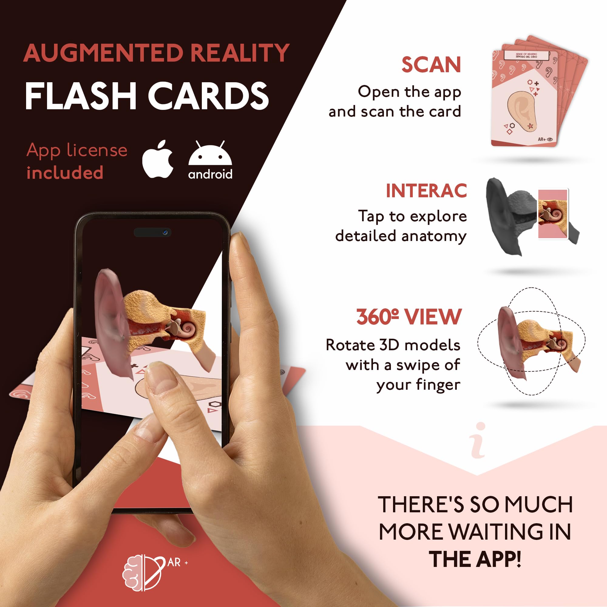 Anatomy Flash Cards, Anatomy and Physiology Flashcards for Kids, Augmented Reality, App Included, English and Spanish, A&P, Body Parts, Body Systems, Learning Tool, Study Tool, Learning Toy