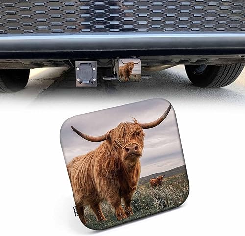 Vista 71 de Cubierta de enganche de remolque de 2 pulgadas, águila calva, grunge, águila calva americana, bandera de Estados Unidos, cubierta de goma