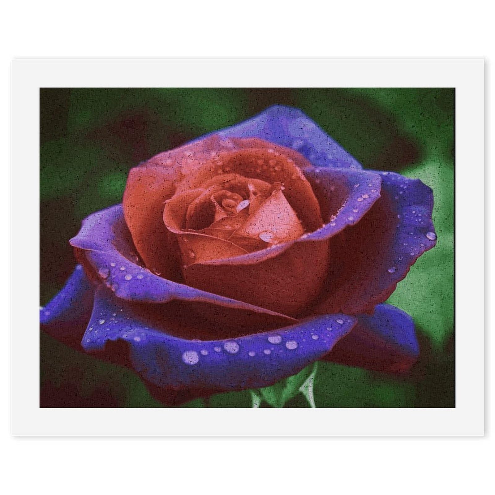 MUSM DIY Digital Painting Rose Paint by Numbers Kit for Adults Canvas Digital Oil Painting Kit for Beginners Easy Paintings by Numbers for Home Wall Decoration