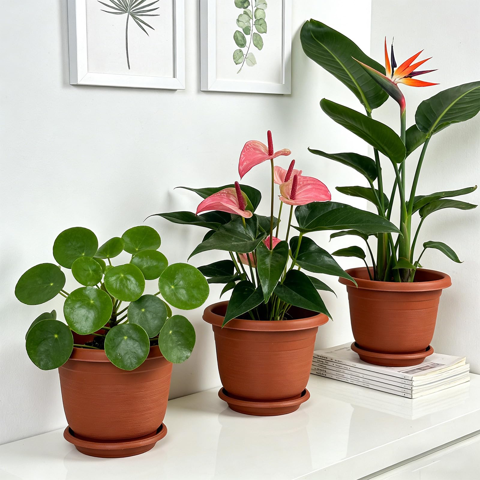 6Pack 15.5cm/6.1-in Plant Pots Indoor Plastic Flower Pots with Drainage Holes and Saucers Modern Decorative Planters Succulent Indoor Outdoor Plants - Terracotta - 5