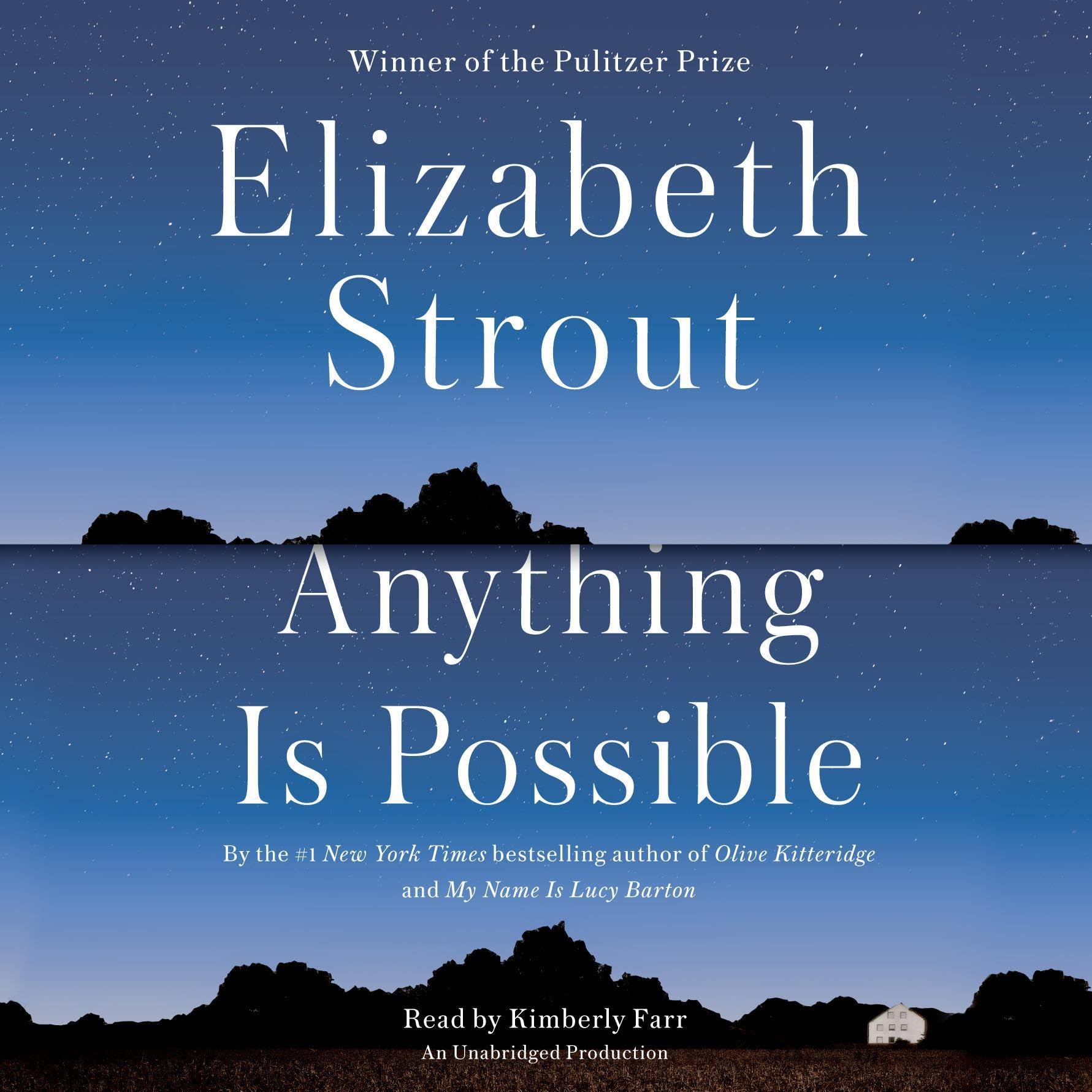 Cover art for Anything Is Possible