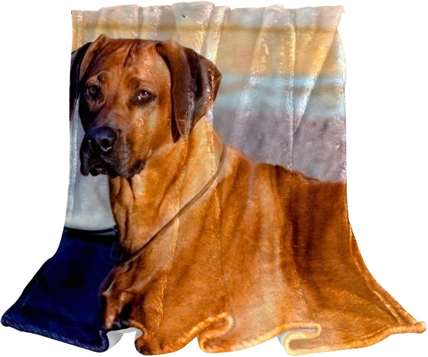 Amazon.com: Rhodesian Ridgeback Dog Flannel Blanket Ultra-Soft Cozy ...