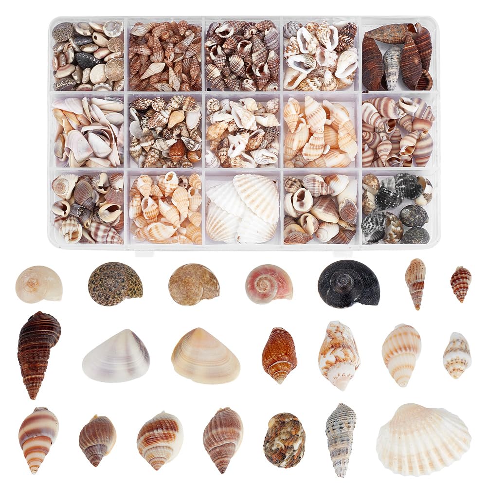 Amazon.com: PH PandaHall Sea Shells, 466pcs 15 Style Spiral Shell