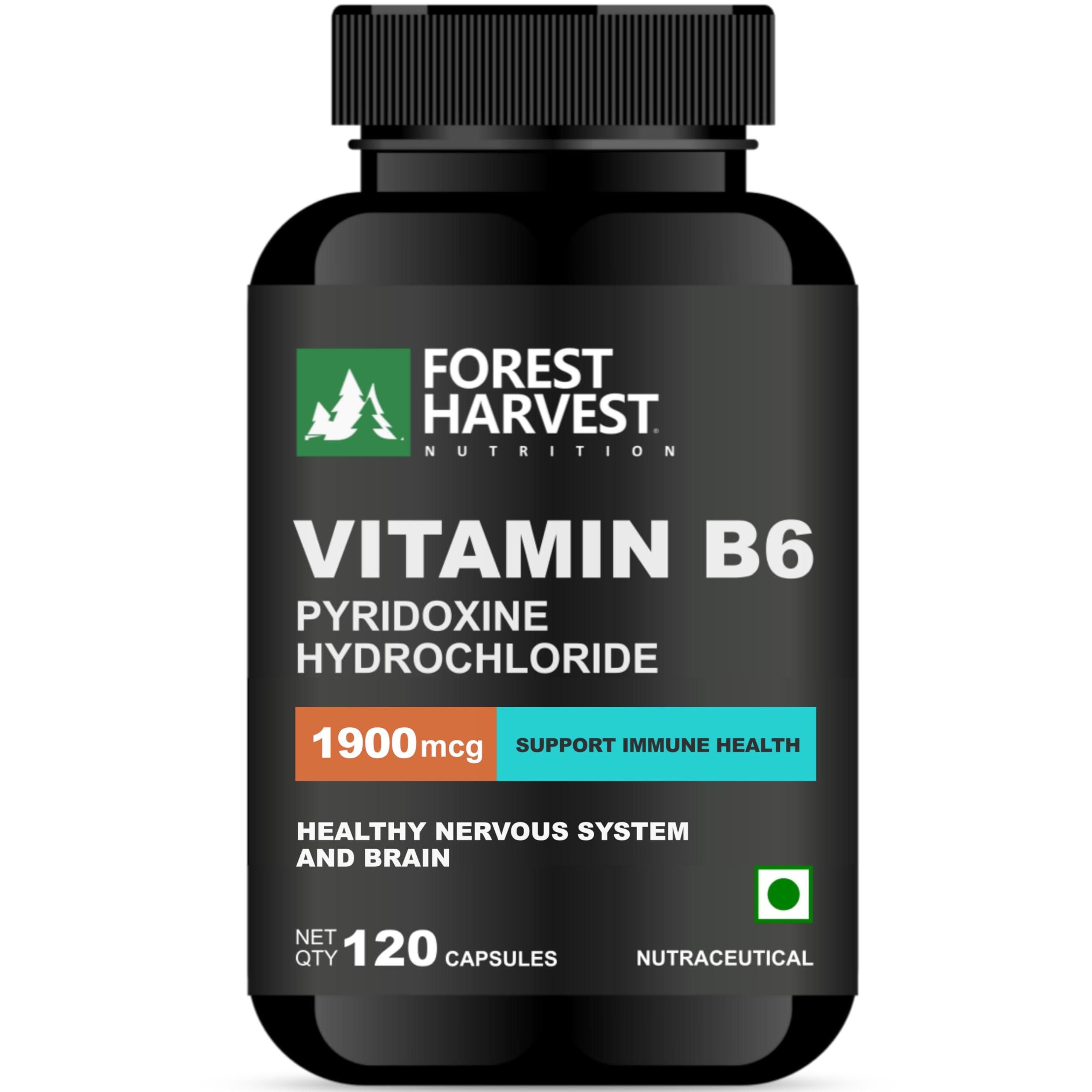 Vitamin B6 (Pyridoxine HCl) 1900 mcg – 120 Veg Capsules | WHO-GMP, HACCP, ISO & FSSAI Certified