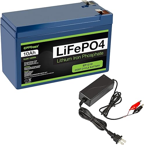 ExpertPower Paquete de batería y cargador - Cargador de 12 V 2 Abatería de litio de 12 V 20 Ah LiFePO4