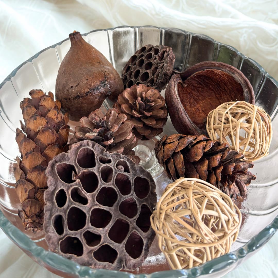 Dried Exotics Mix 10 Pcs | Natural Decorative Elements with Lata Ball, Lotus Pod, Pine Cone, Strobus & Buddha Nut for Home Decor & DIY Crafts-picture-27