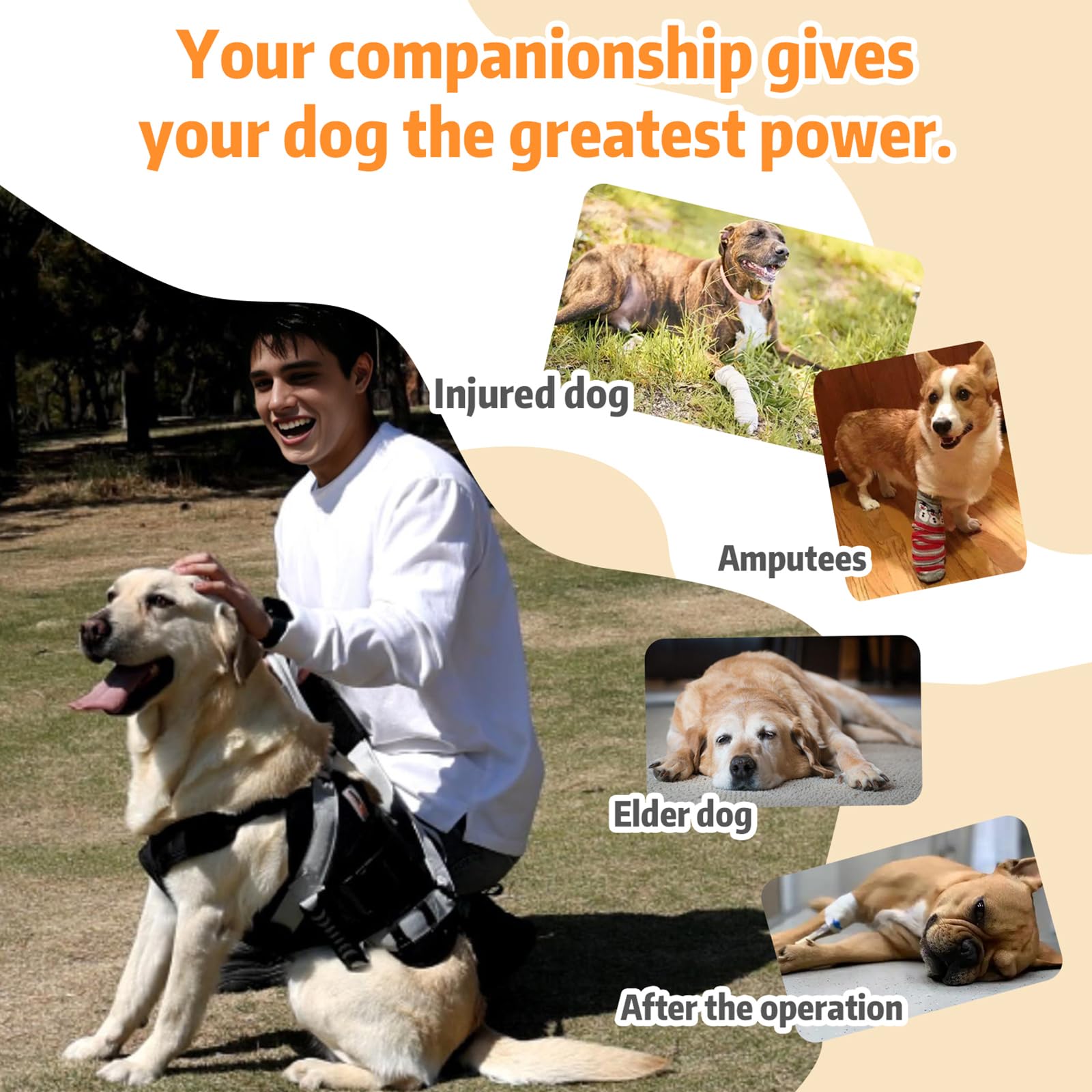 Arnés de elevación para perros grandes, transportador de cuerpo completo con asa, para soporte de patas traseras, lesiones articulares de perros, artritis (XL)