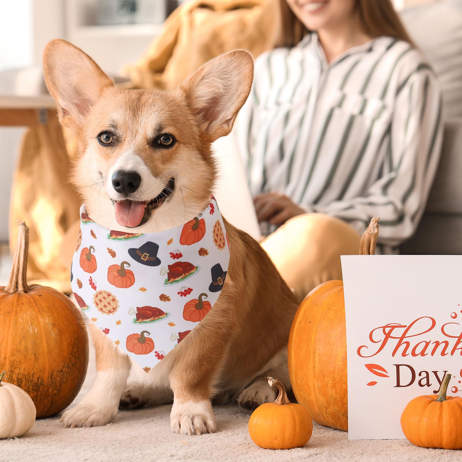 Huhumy Lot de 100 bandanas d'automne pour chien en vrac 3 tailles - Bandana lavable réglable et lavable - Écharpe d'automne pour Thanksgiving, les vacances - Fournitures pour animaux de compagnie de