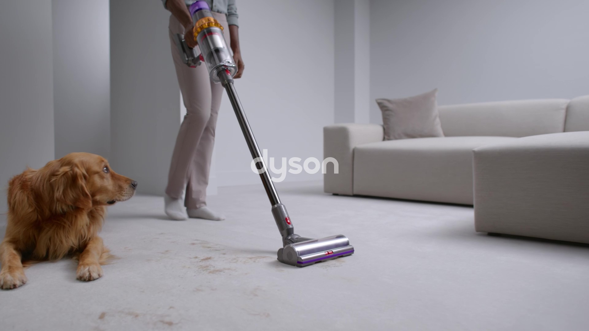 Dyson V15 Detect™ Cordless Vacuum : Amazon.ca: Home