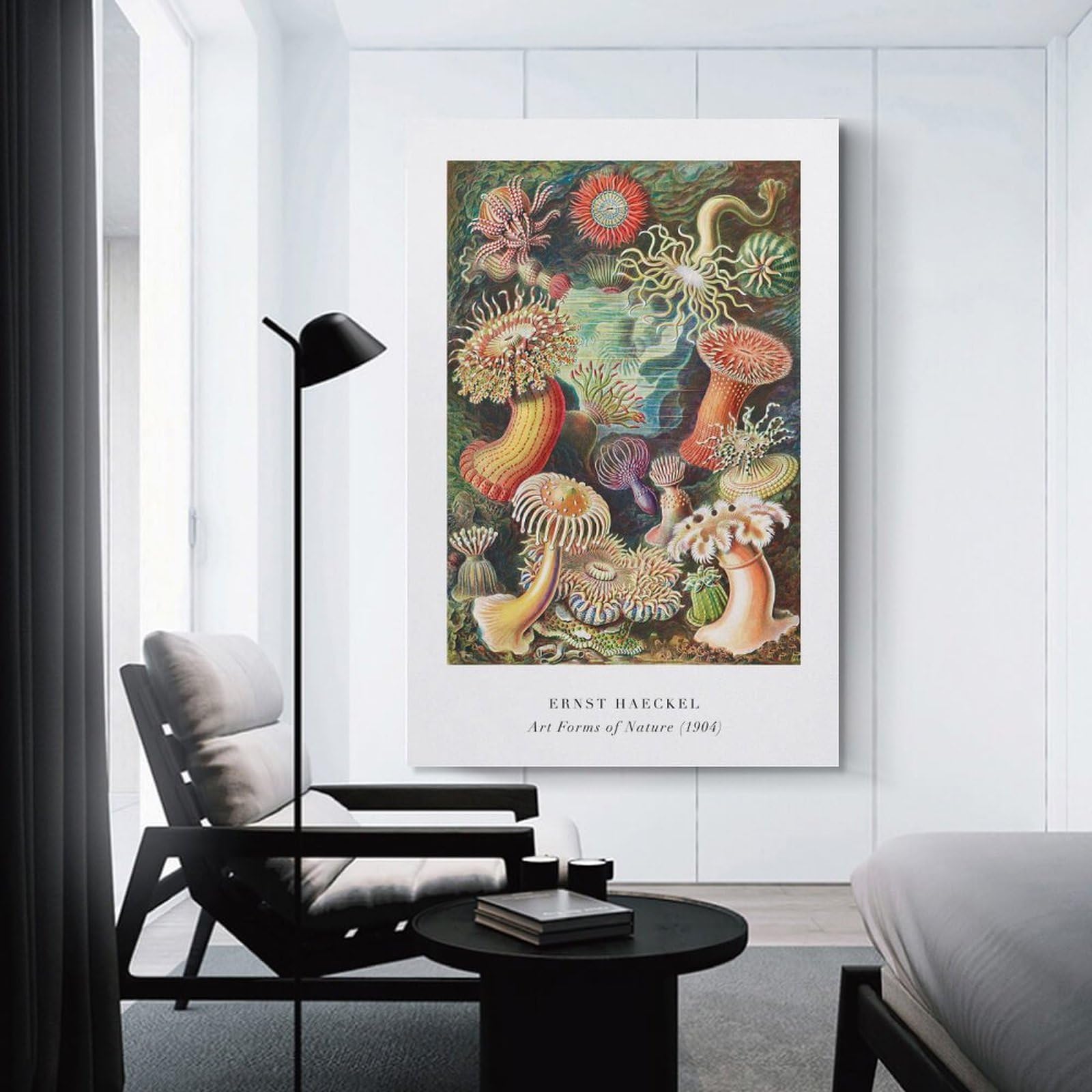 Junmoney Ernst Haeckels Art Forms of Nature Canvas Wall Decor, 20x30inch(50x75cm), for Apartment Walls, Studios Or Work Areas, Decorative Canvas Decor for Home Updates