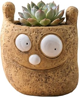 Resin Succulent Planter, Creative Figurine Plant Pot Garden Decor (Medium) | Figurine Plant Pot