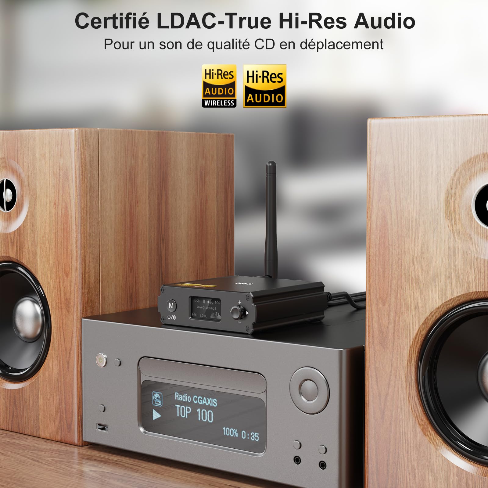 1Mii DS220 Recepteur Bluetooth Hi-Res pour Stéréo Domestique | avec LDAC, Adaptateur Audio HiFi Bluetooth 5.3 avec Audiophile DAC aptX HD Affichage OLED Mode