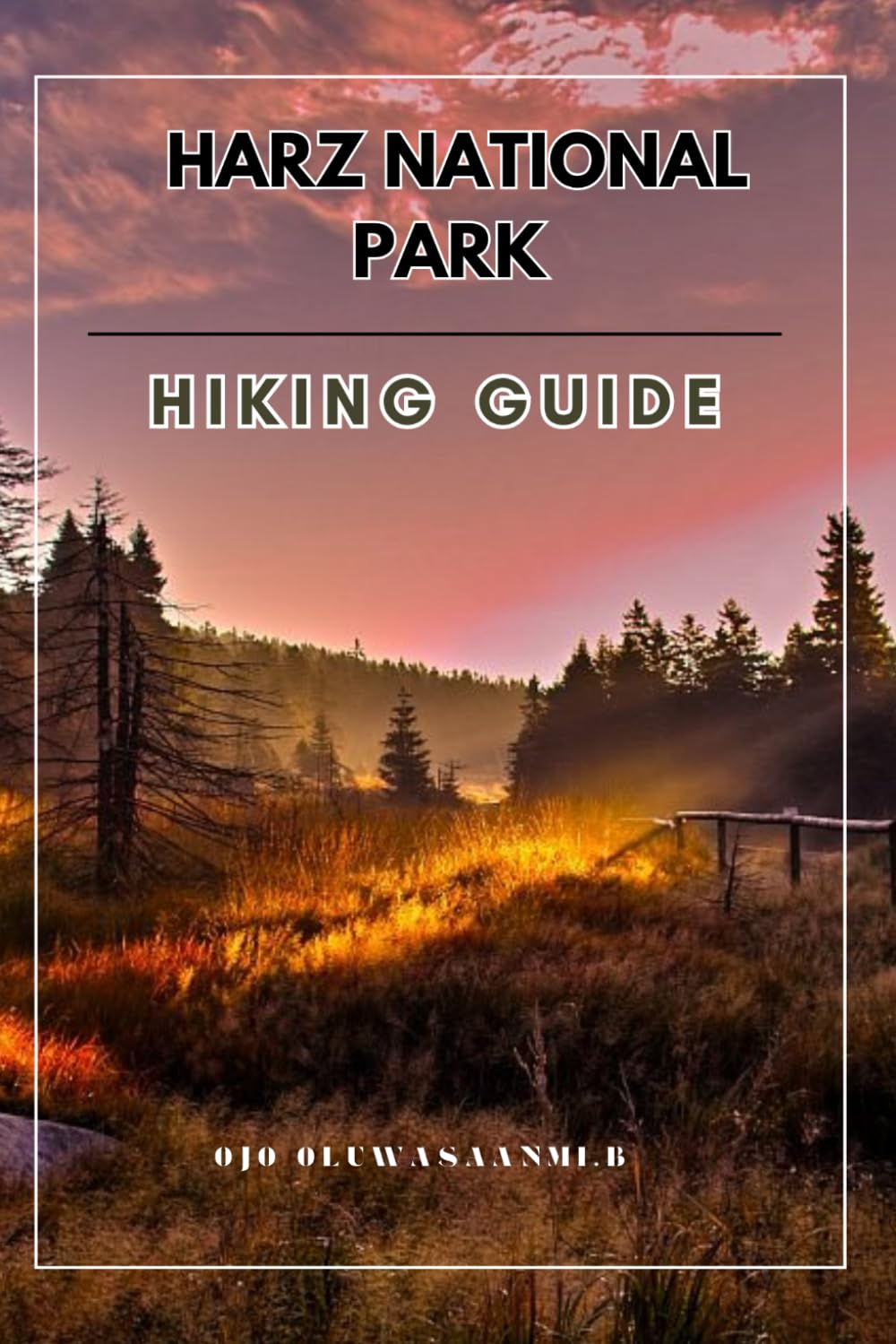 Harz national Park hiking guide (Sanmy's Germany hiking guide:-Best Trails, Hidden Routes & Scenic Walks in Germany)
