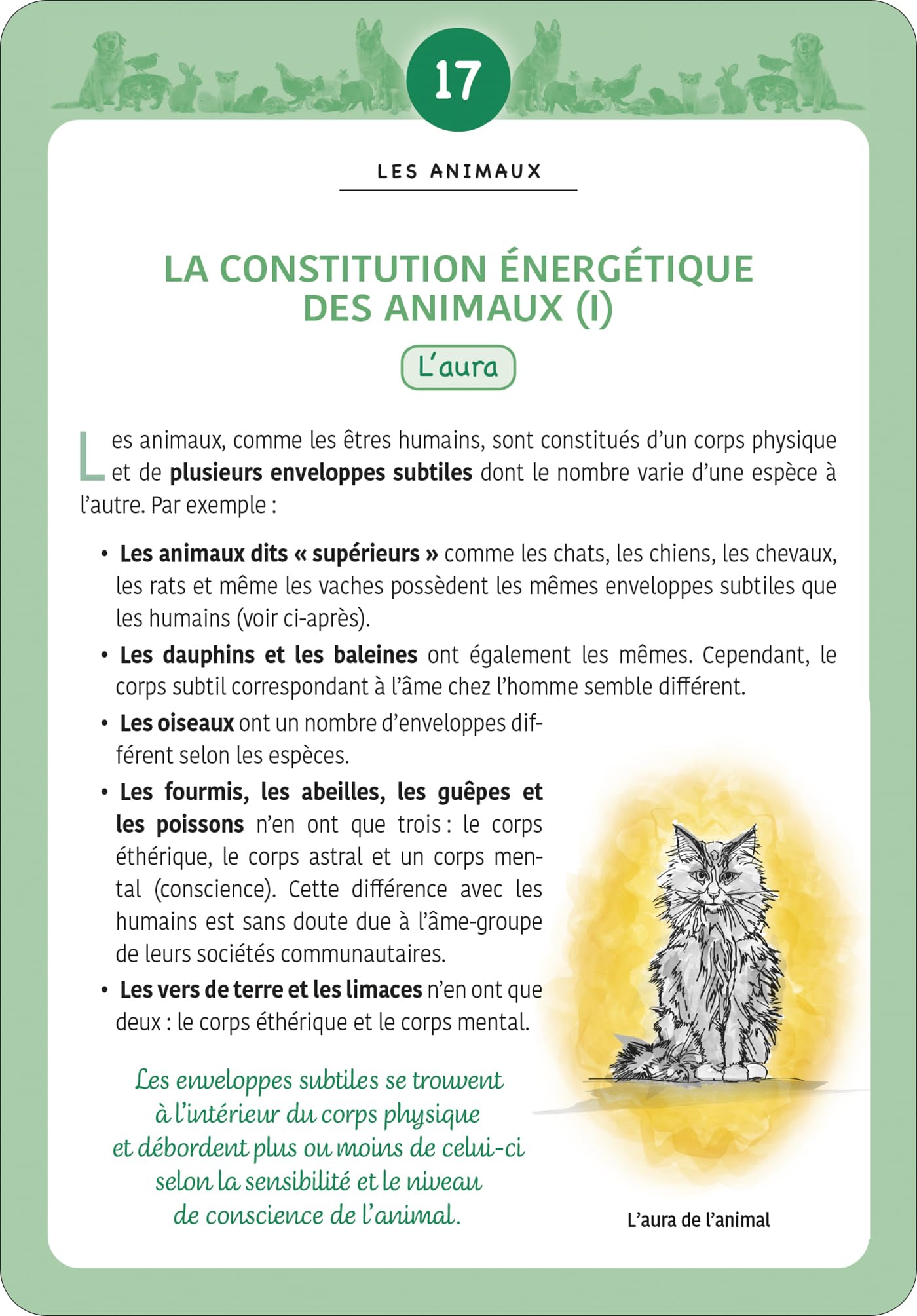 120 fiches de soins énergétiques pour les animaux