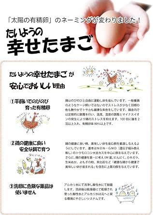 Amazon こだわりの平飼い有精卵 たいようの幸せたまご 10個 X2パック 自然食品のたいよう 鶏卵 通販