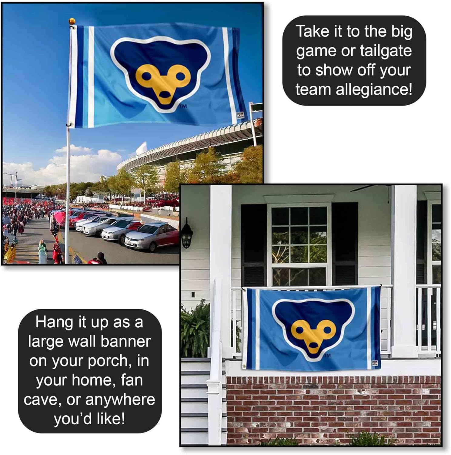 Chicago Baseball Flag and Banner
