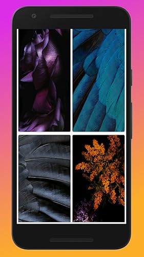 2019 HD Wallpapers