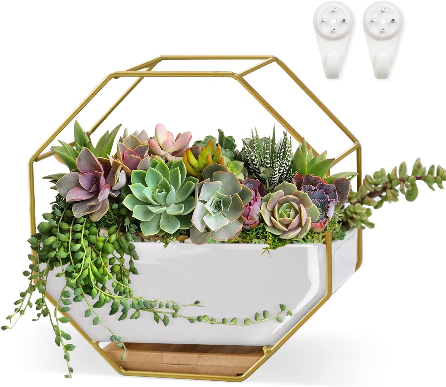 ChiRee Succulent Planters 7×3.5 Inch Decorative Ceramic Flower Plant Pots with Metal Holder Hanging and Place Dual-Purpose Garden Planter Pot with Drainage and Saucer for Indoor Home Office Desktop