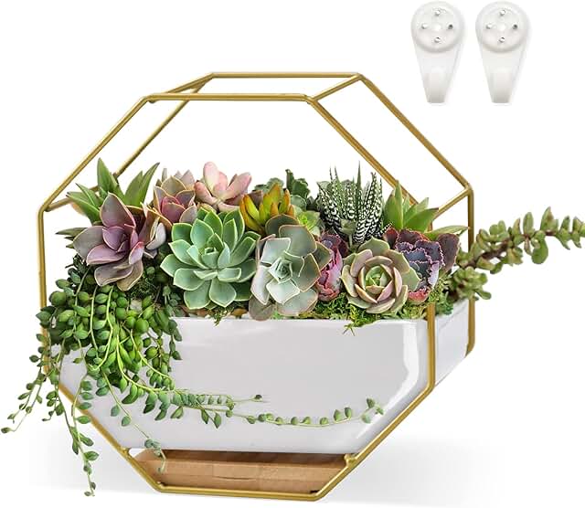 Succulent Planters 7×3.5 Inch Decorative Ceramic Flower Plant Pots with...