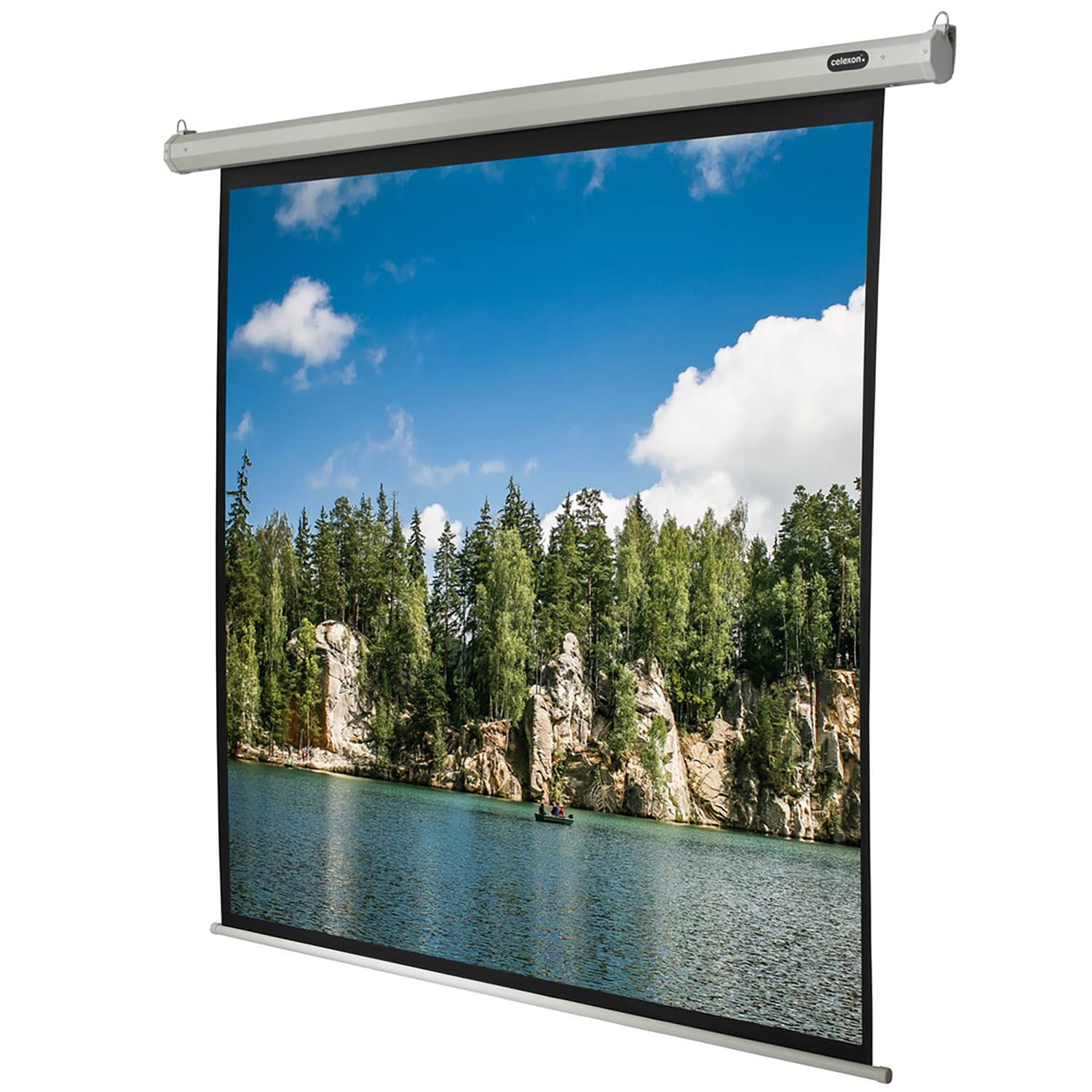 Celexon ELECTRIC ECONOMY, Schermo motorizzato adatto per tutti i tipi di proiezione, fattore Gain di 1,2, formato 1:1, 180 x 180 cm, bianco