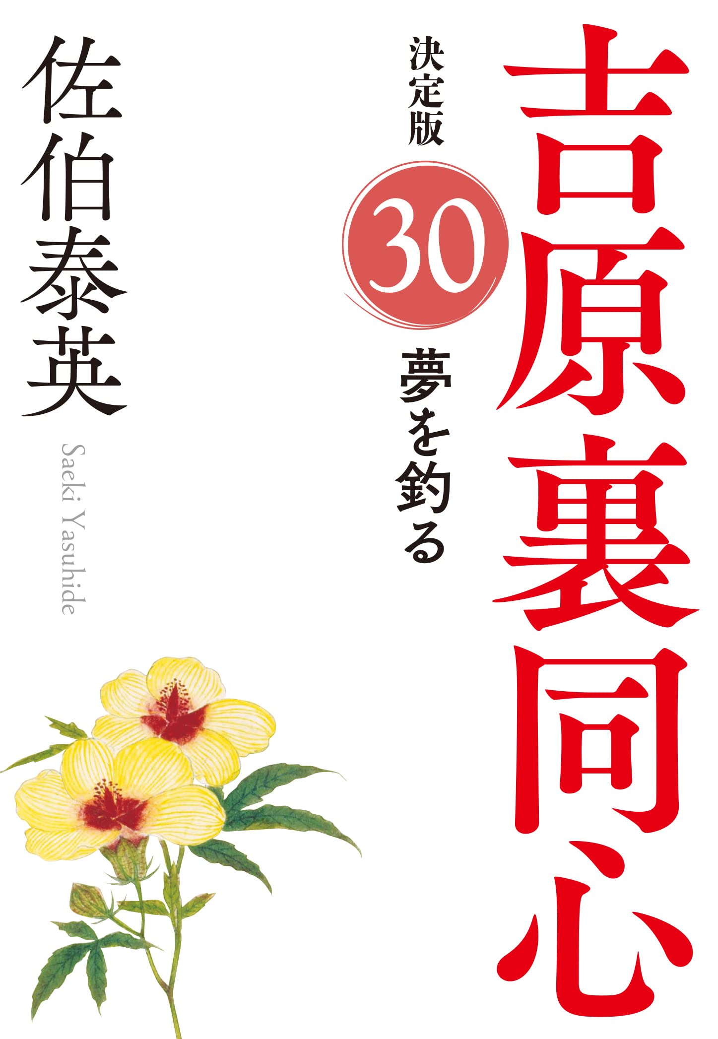 決定版 吉原裏同心 1-20巻 Amazon.co.jp: 吉原裏同心 決定版 1～20巻セット 佐伯泰英 光文社時代