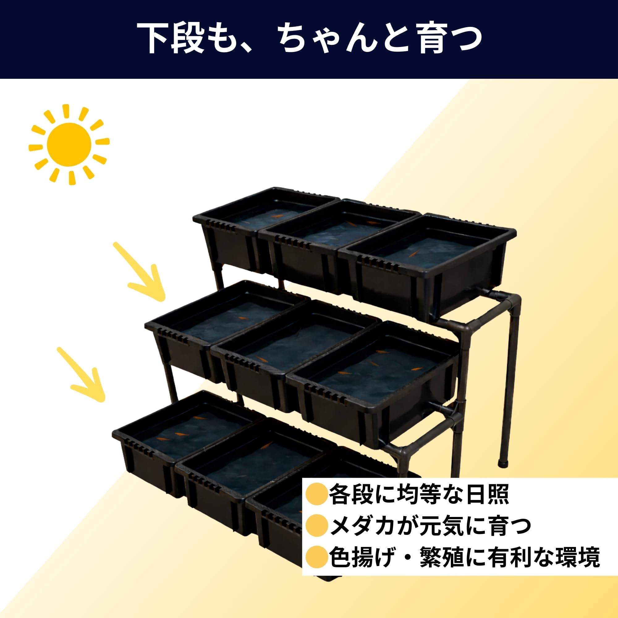 Amazon.co.jp: メダカ飼育ラック (NV BOX 13専用 2段タイプ) : ペット用品