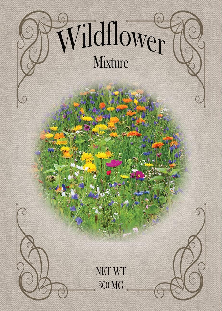 Set of Wildfower Seed Packets - Create Your Dream Garden - Bulk Flower Seeds (200)