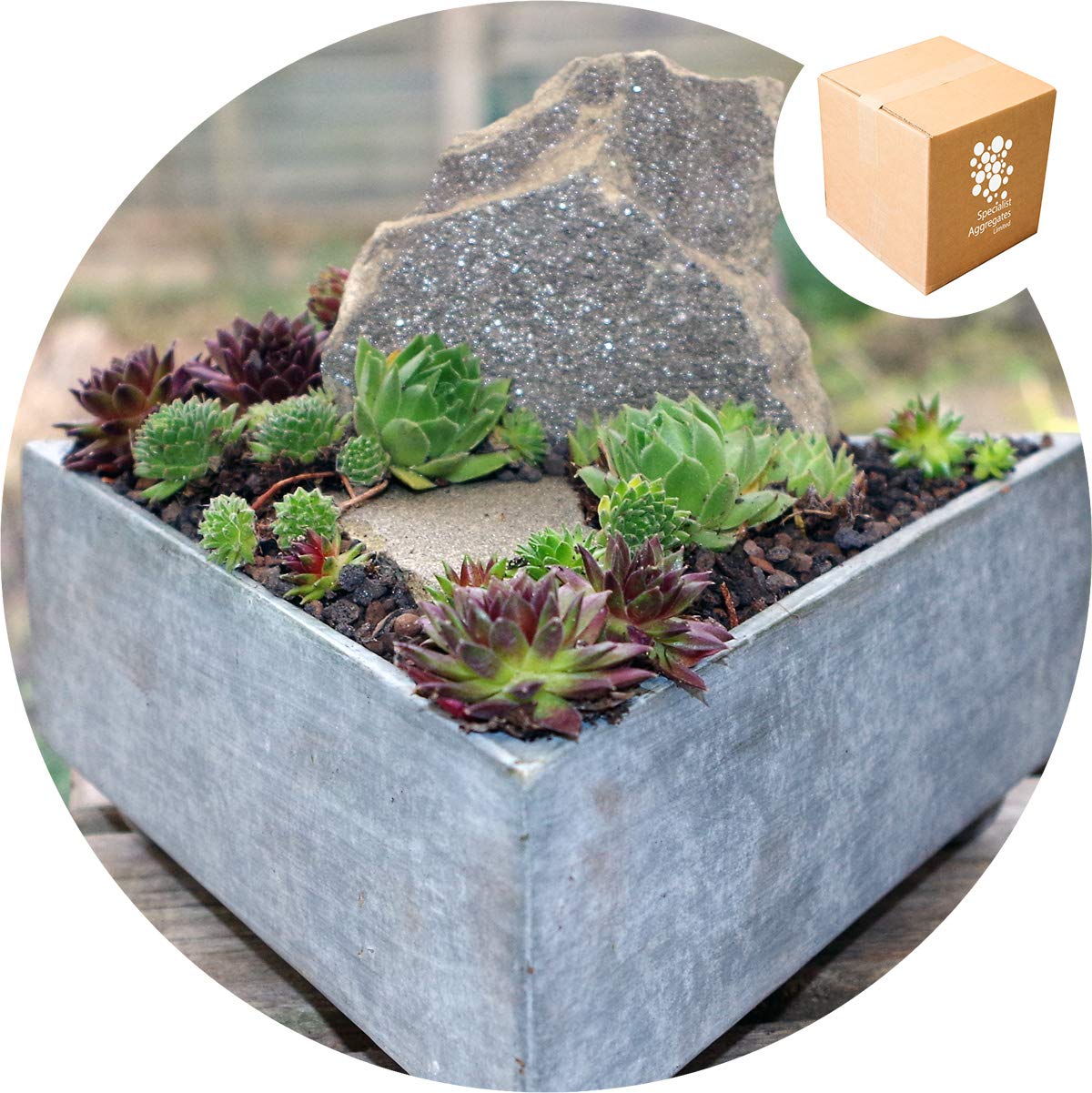 Specialist Aggregates ® - Ultralite - Lightweight Horticultural Grit - 2.5L, Cacti, Alpines, Lavender, Terrariums, Bottle Gardens, Vivariums