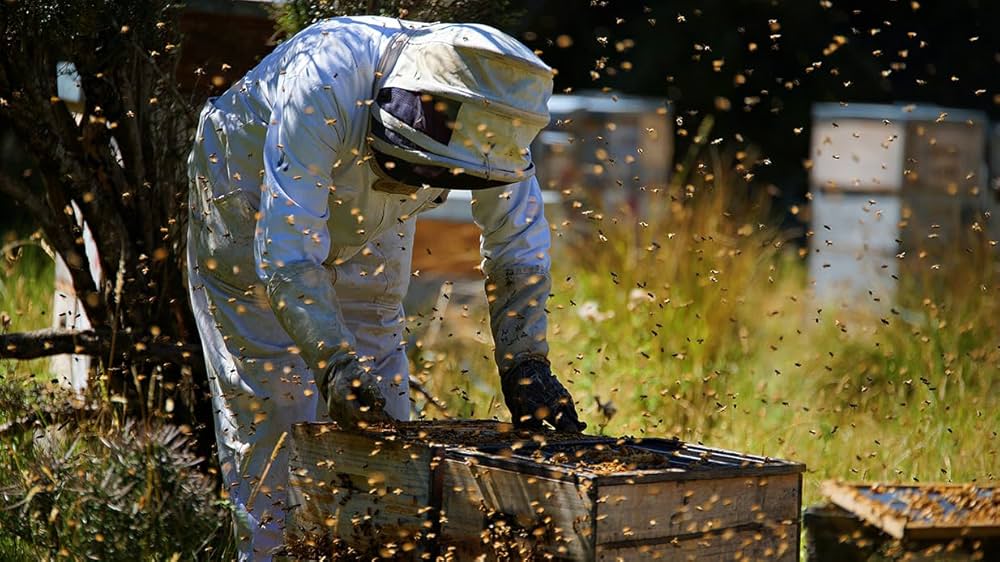 Amazon | マヌカハニー正規品 MGO500＋ 個包装 5g×10個