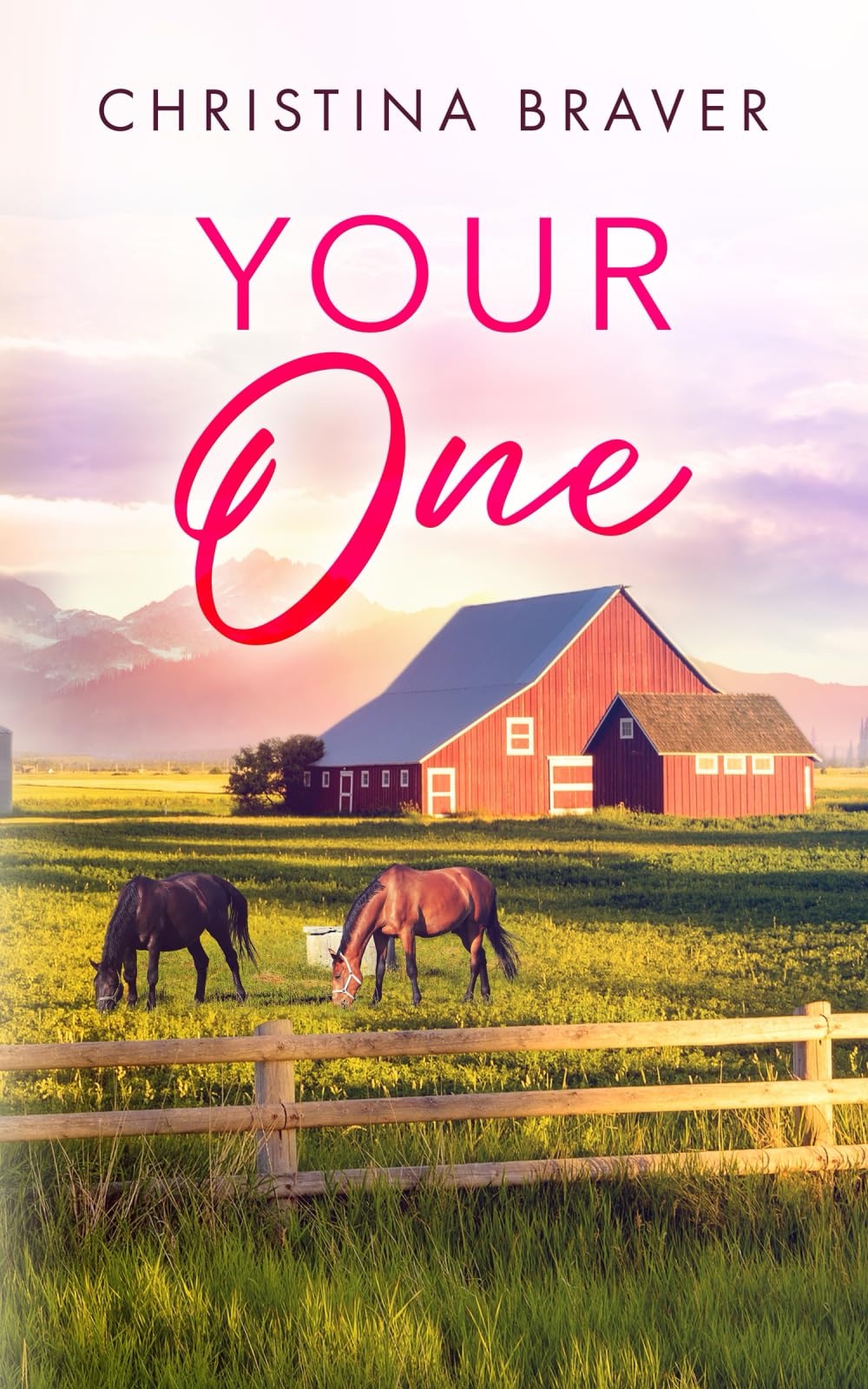 Your One: A Steamy Small-Town Contemporary Romance (Perry Harbor Book 5)