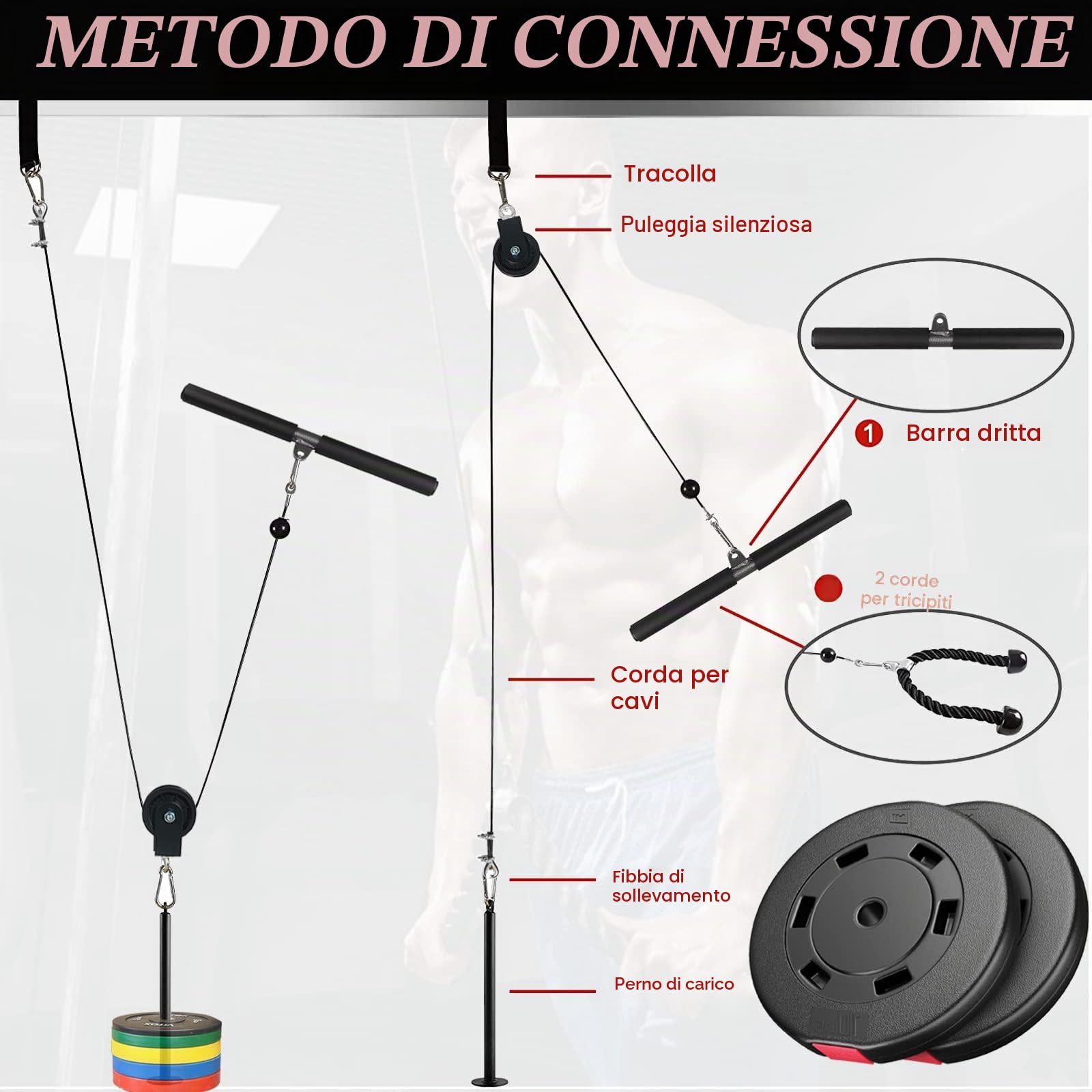 Taeku Carrucola Palestra, Multifunzione LAT Machine Palestra Dischi Palestra Accessori per Curl Bicipiti Estensioni Tricipiti Fitness Palestra