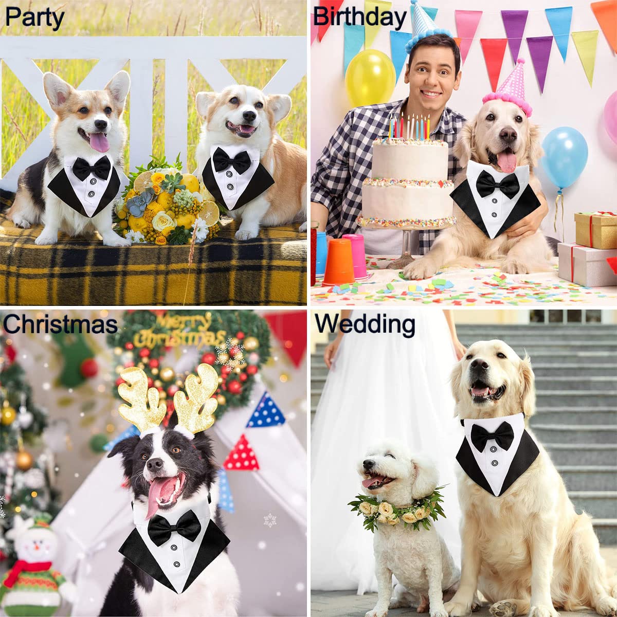 Hundesmoking Mit Fliege – Verstellbares Halsband Für Hochzeit & Geburtstag (S, M, L)