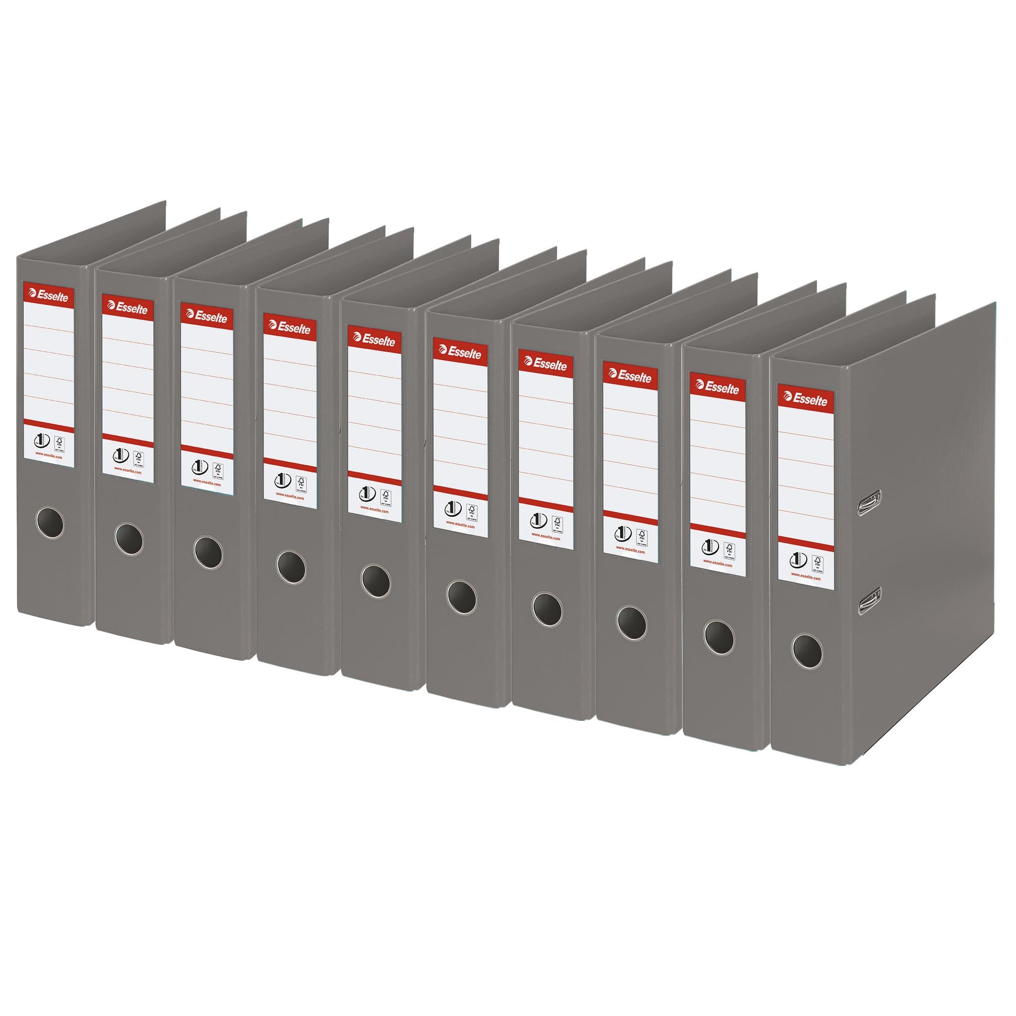 Esselte 811380 cartella Grigio A4