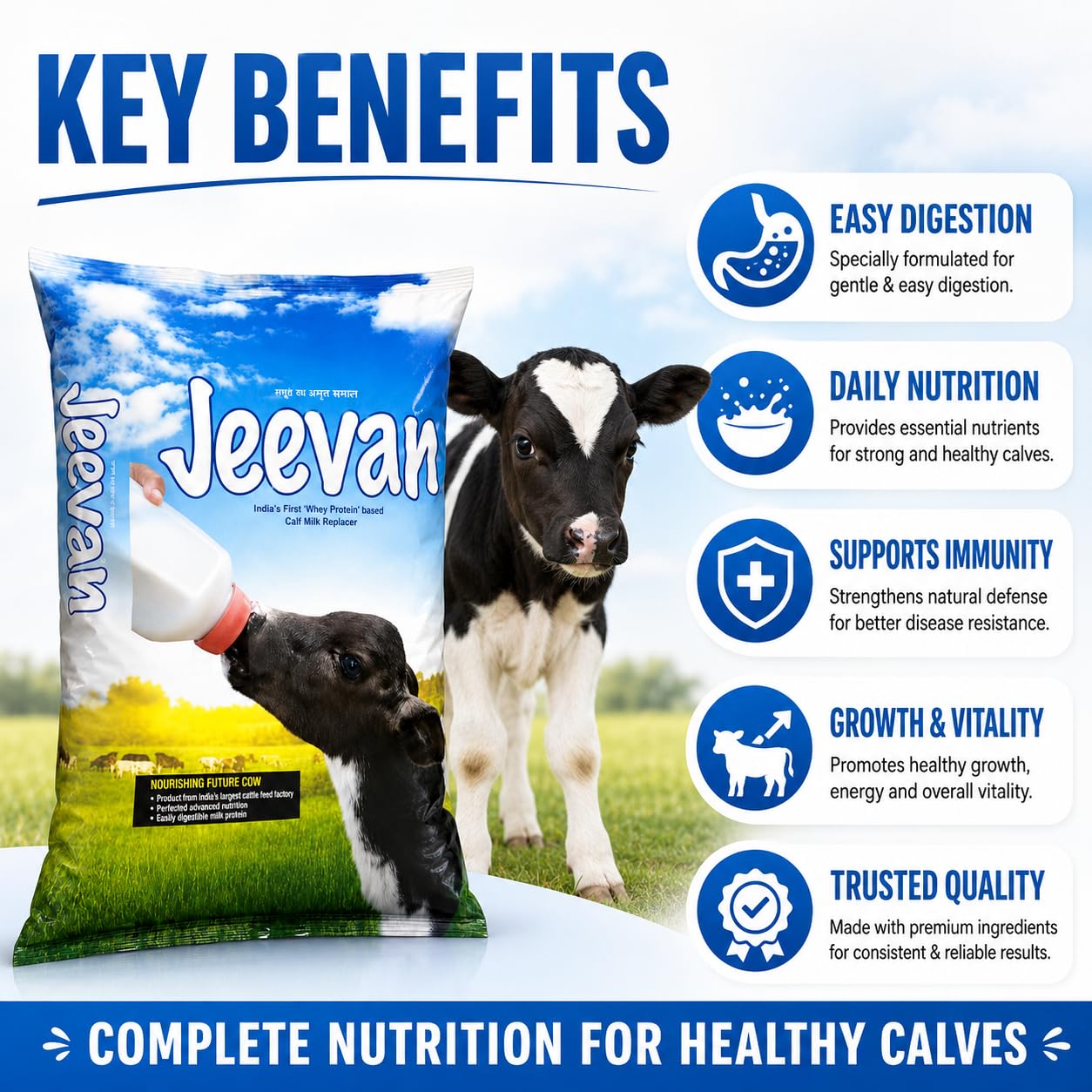 Jeevan Calf Milk Replacer - 5KG Powder -3