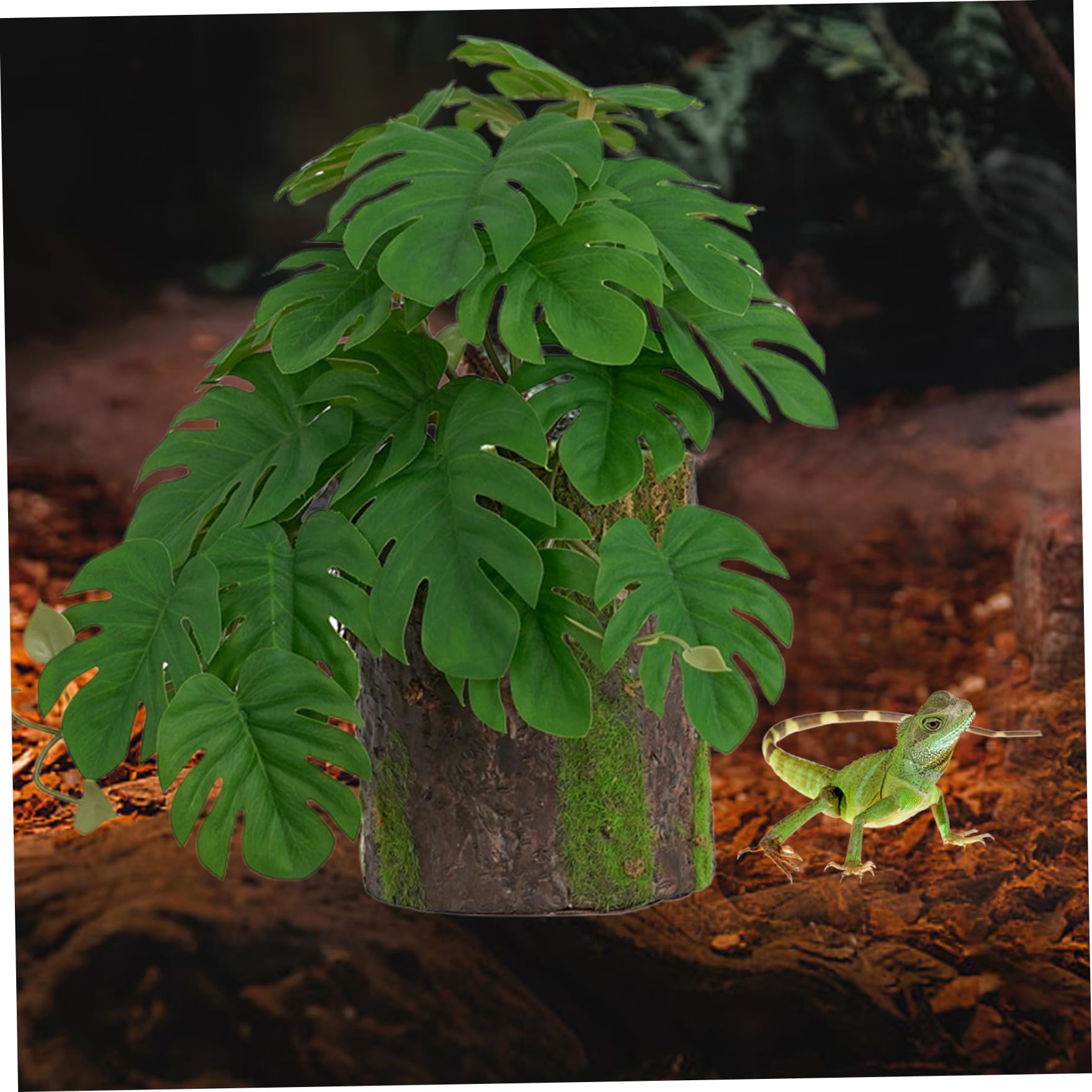 Plantes de Terrarium, Plantes Reptiles Fausse Plante de monstrea avec décoration de souche d'arbre
