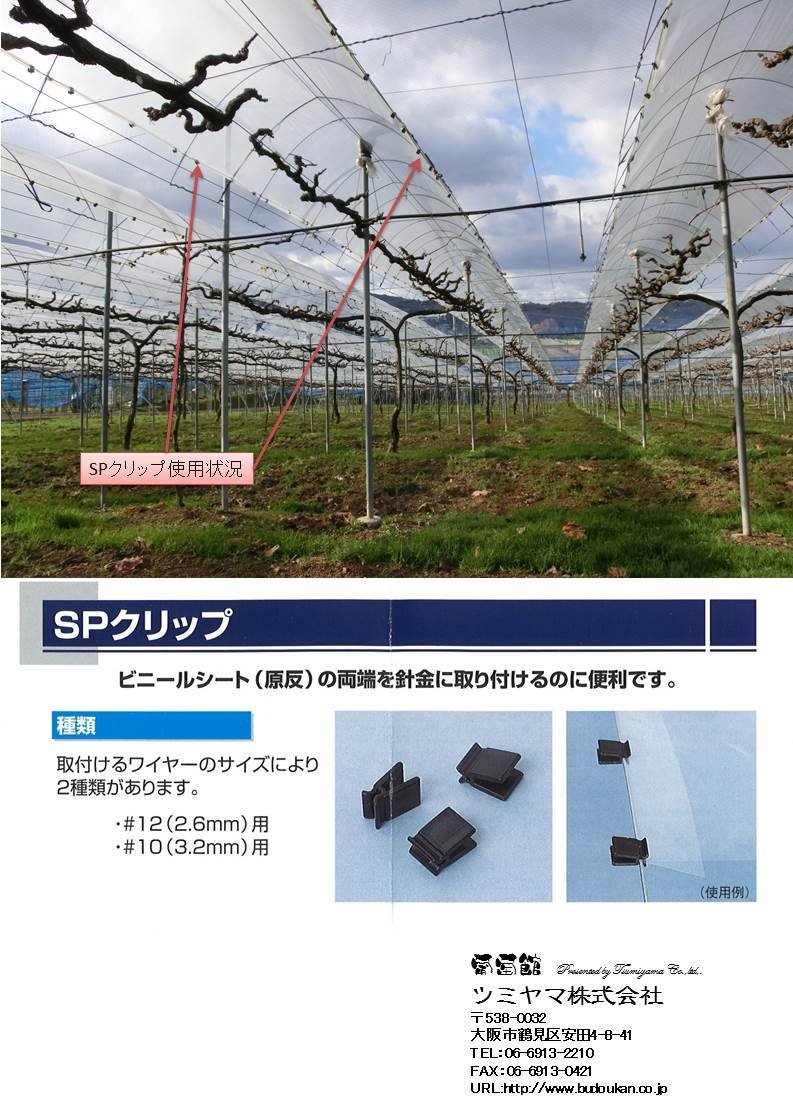 SPクリップ ブドウ等の果樹棚の簡易被覆用