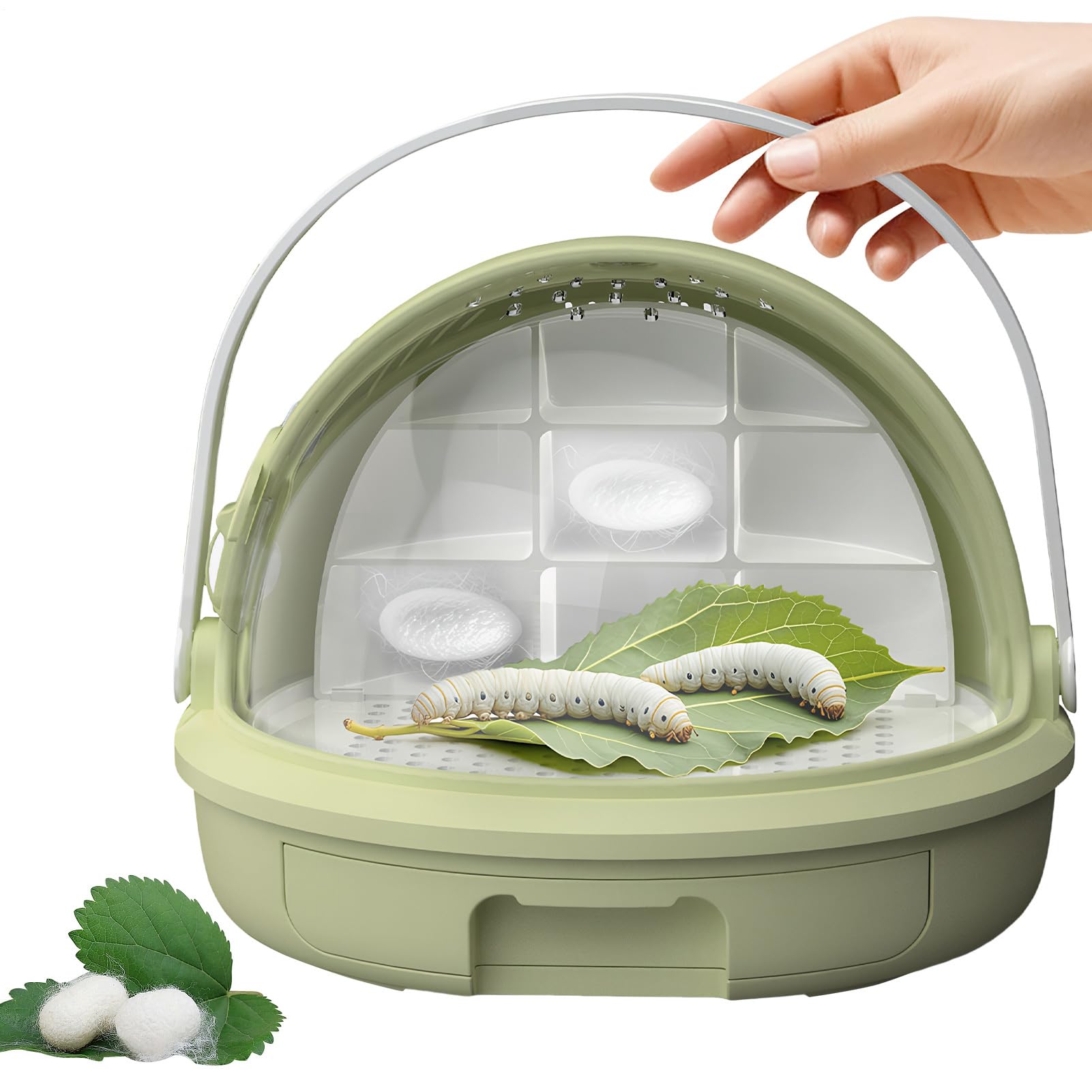 Terrarium pour reptiles transparent pour les activités extérieures et scolaires
