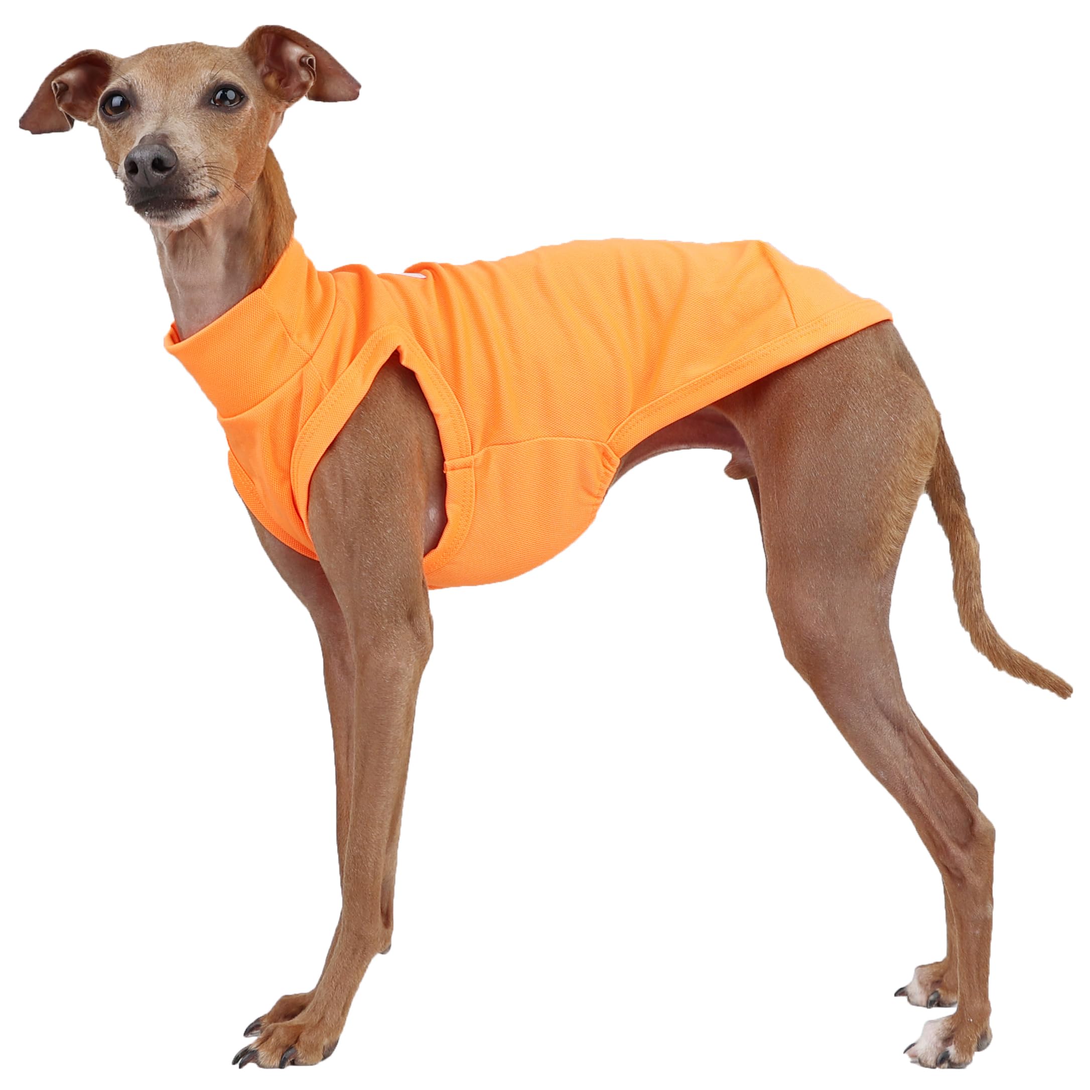 D Doggy Star Italian Greyhound Clothes Summer Cool T Shirts Rashguard Swimsuit Whippet for Dogs (XL,Cool Neon Orange) — image 1
