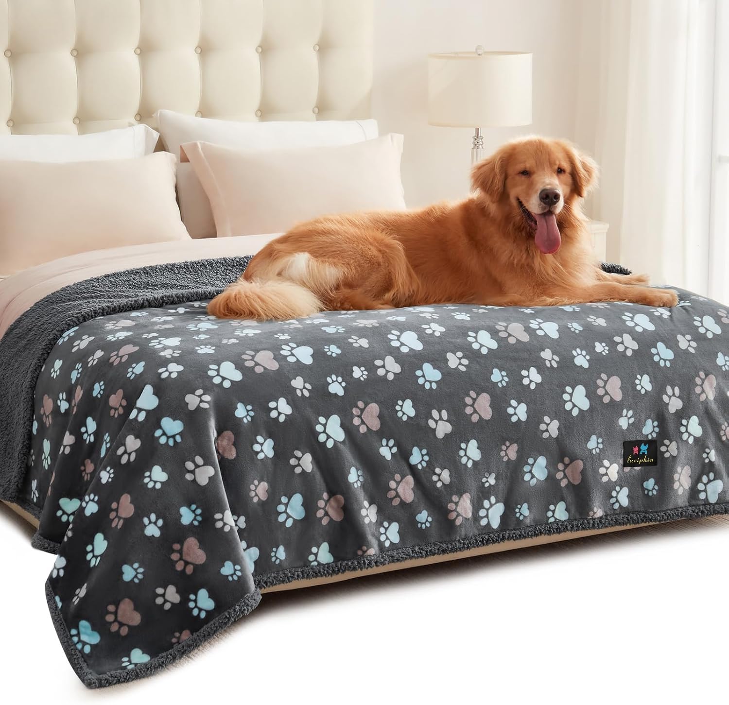 Luciphia Waterproof Pet Blankets for Couch Sofa Bed Cover Liquid Pee Proof Washable Soft Fluffy Large Dog Blanket Reversible Furniture Protection Grey Paw Thicken X-Large(85″ x 57″) Luciphia Waterproof Pet Blankets for Couch Sofa Bed Cover Liquid Pee Proof Washable Soft Fluffy Large Dog Blanket Reversible Furniture Protection Grey Paw Thicken X-Large(85″ x 57″)