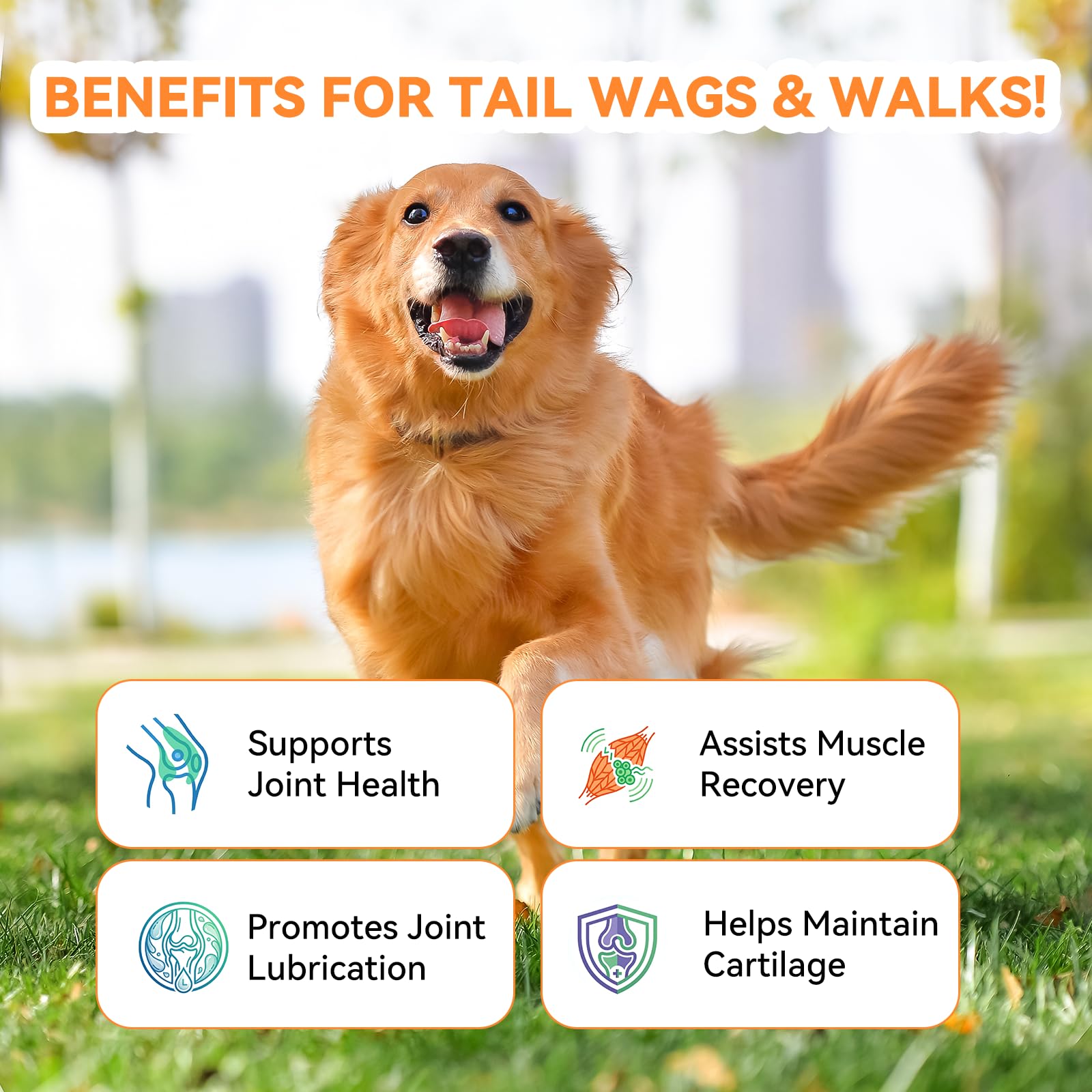 Hip & Joint Soft Chews for Dogs & Cats – Glucosamine, Chondroitin, Collagen & MSM for Joint Support, Mobility & Flexibility, Senior & Small/Medium Breeds, Chicken Flavor (30 Count) - image 3