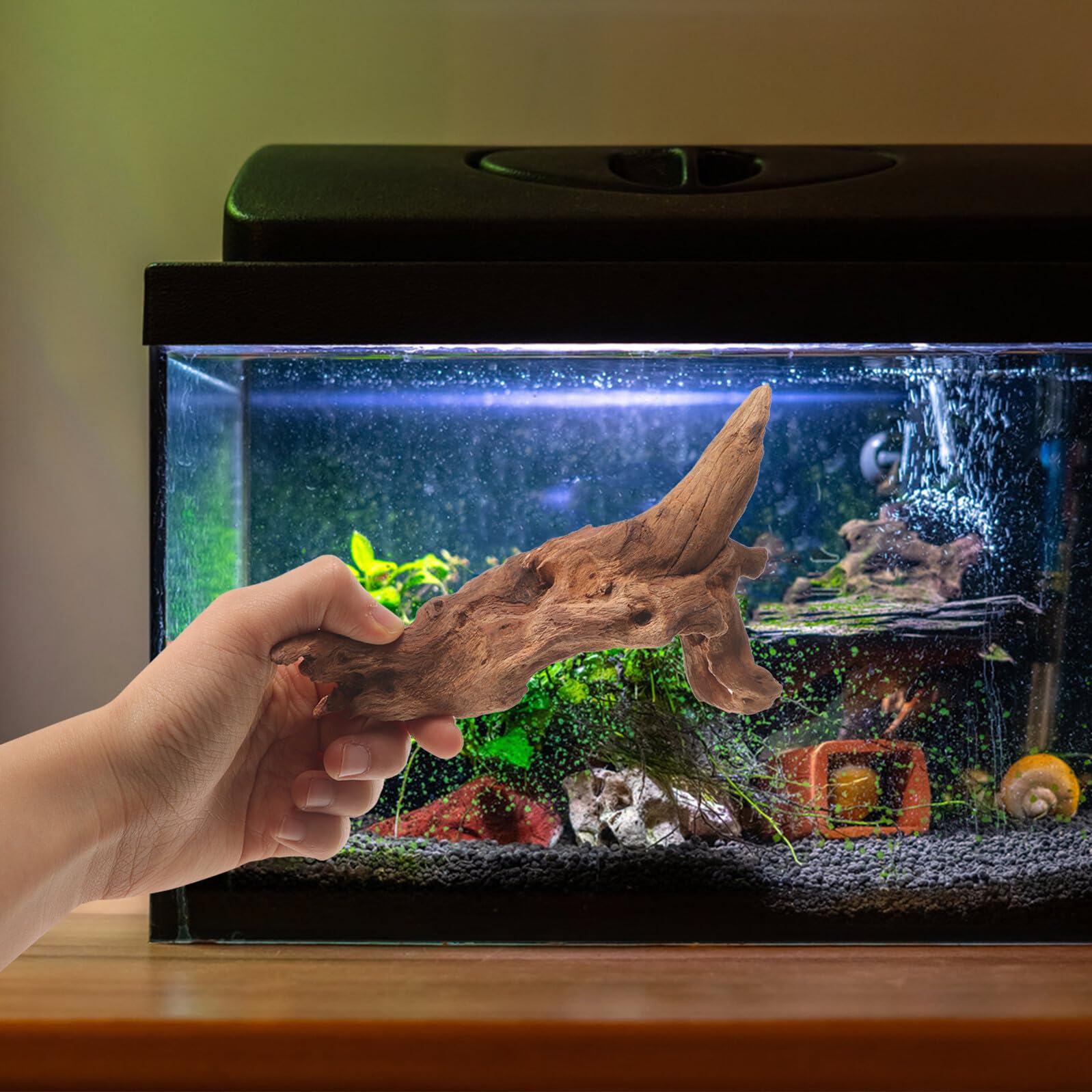 KOMBIUDA Natürliches Totholz Aquarium Dekoration 15 20cm Stabile Moorholz Wurzel Unbedenklich für Wasserbewohner Geeignet für Aquarium und Terrarien