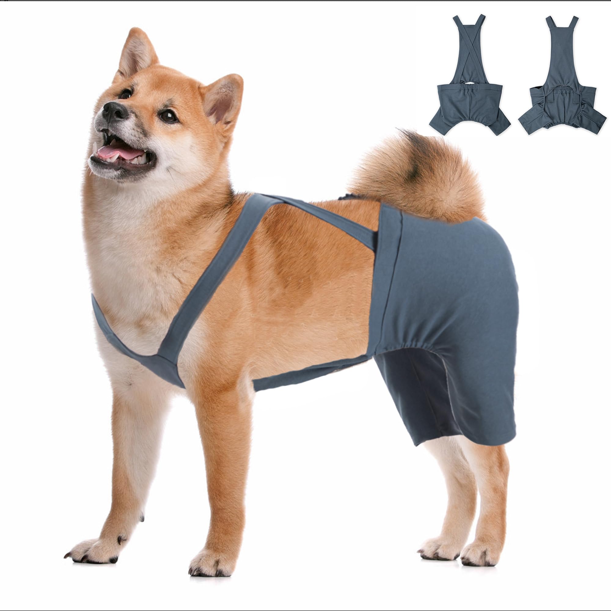 Amazon.com : Dog Hind Leg Recovery Sleeve for ACL TPLO After