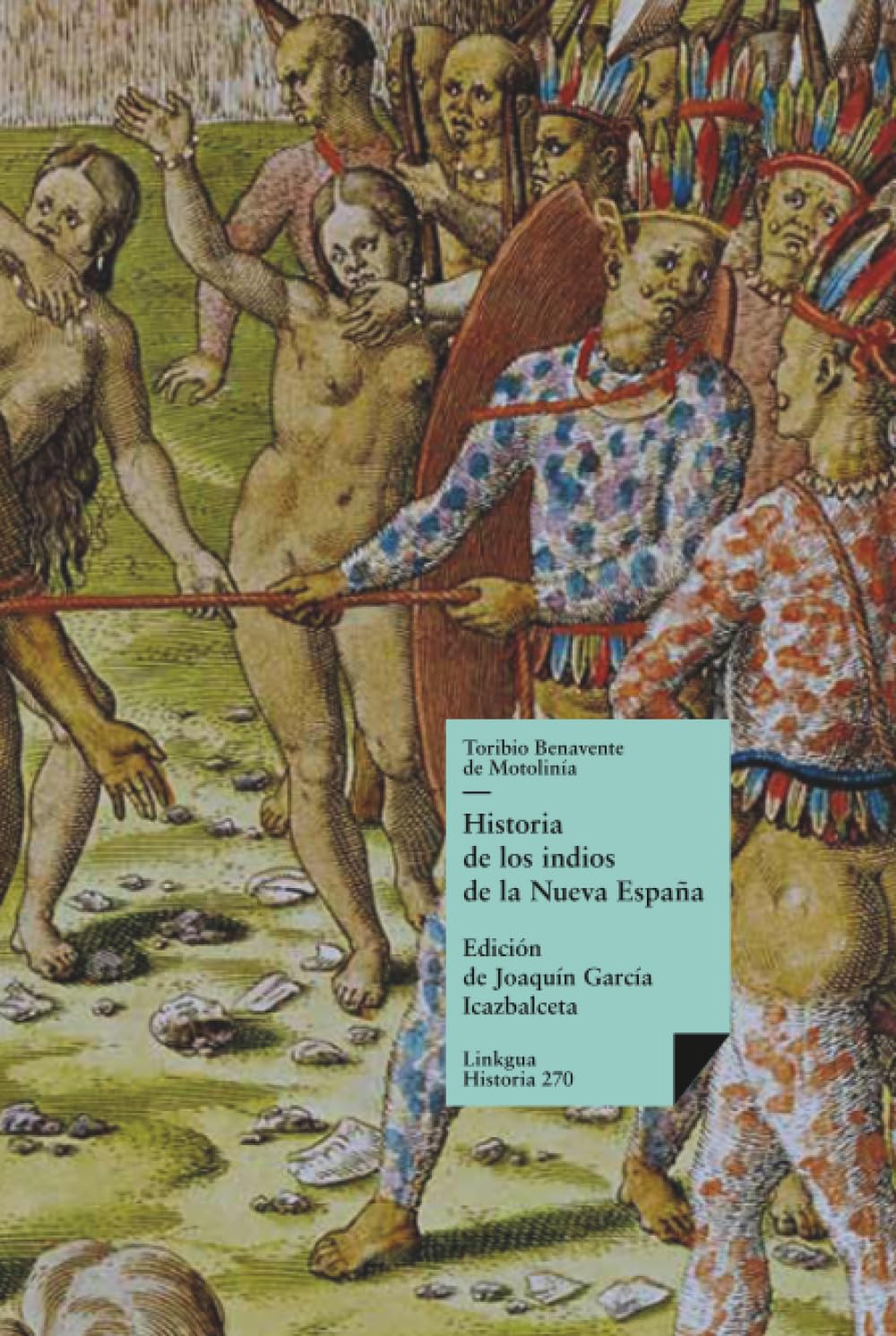 Historia de los indios de la Nueva España: 270