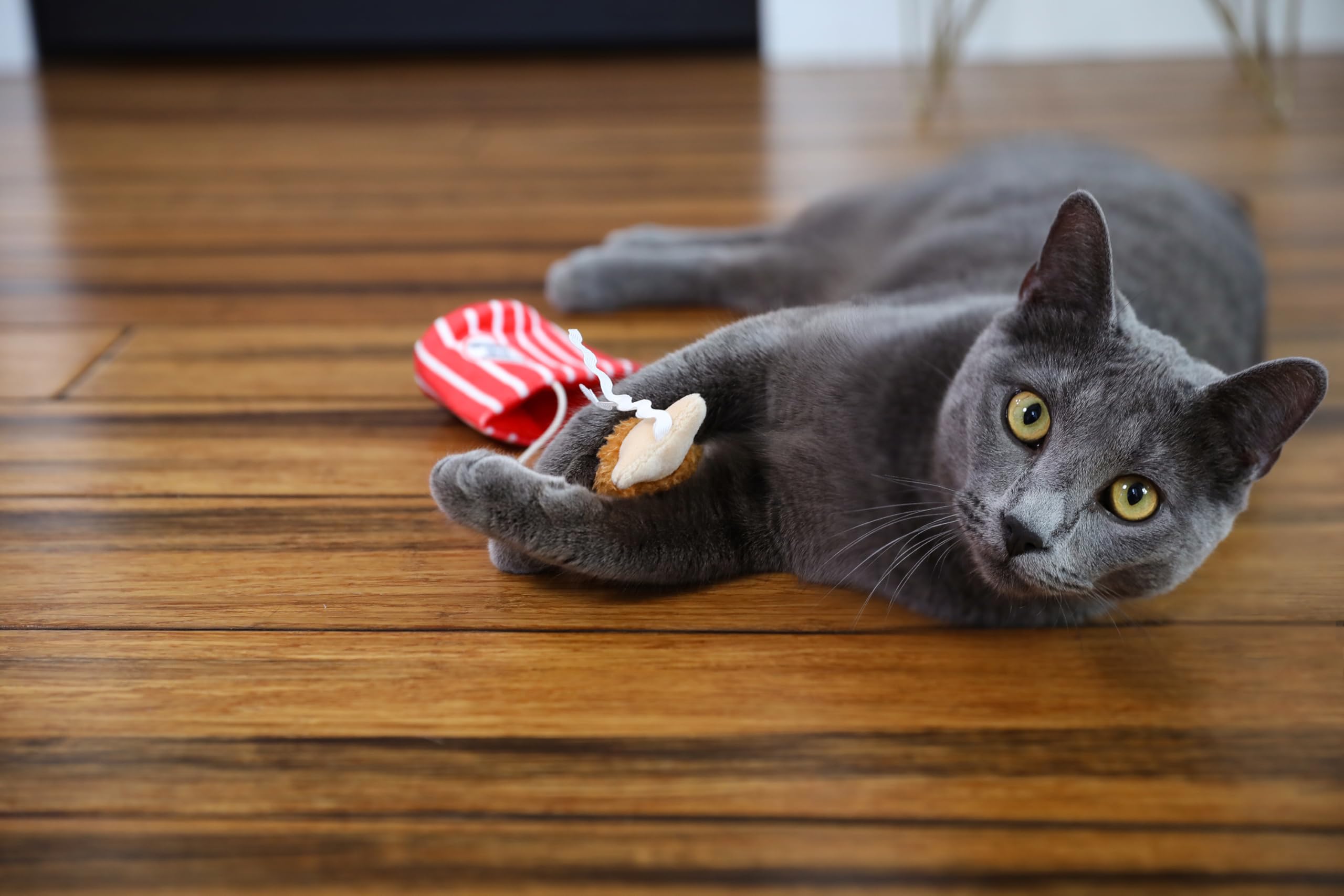 Mad Cat Catucky Smażony Kurczak Hide-A-Toy, kocimiętka + silvervine zabawka dla kota, 2 zabawki w 1, dla kotów w każdym wieku